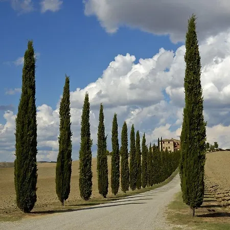 Con Vista Appartamento